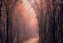 记者:若皇马晋级国王杯决赛,卢宁将担任首发门将.