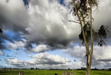 WTT仁川站4月4日赛程公布:林高远、王艺迪、蒯曼出战央视体育.