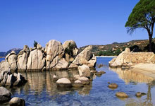 [德甲]第6轮：达姆施塔特VS不来梅.